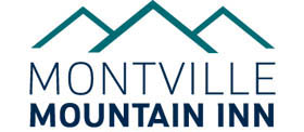 Montville Accommodation - Montville Mountain Inn, Montville QLD